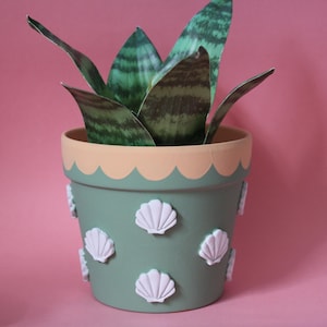 May include: A sage green terracotta plant pot featuring a scalloped peach-coloured rim and multiple white raised seashell embellishments applied to the exterior surface, containing a green and dark green variegated snake plant with pointed leaves.