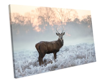 Deer in Snow Stag Wild Animal Winter Canvas Pictures Moden Home Wall Art Prints
