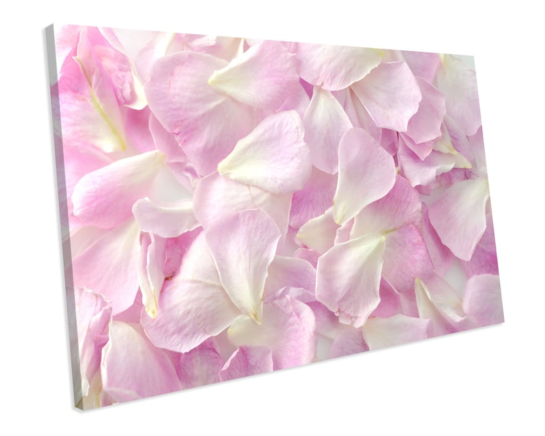 Petals Floral CANVAS ART PRINT Box Framed Picture Home Decor