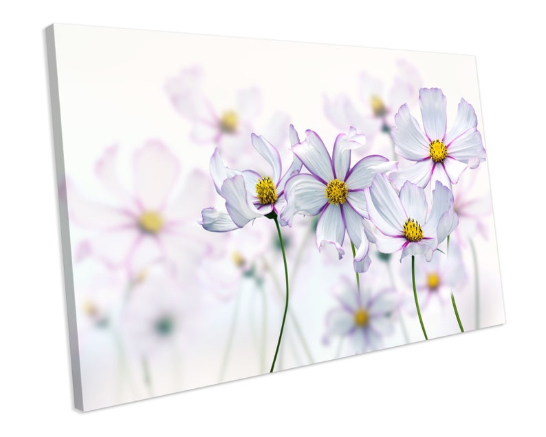 Flower Floral CANVAS ART PRINT Box Framed Picture Home Decor