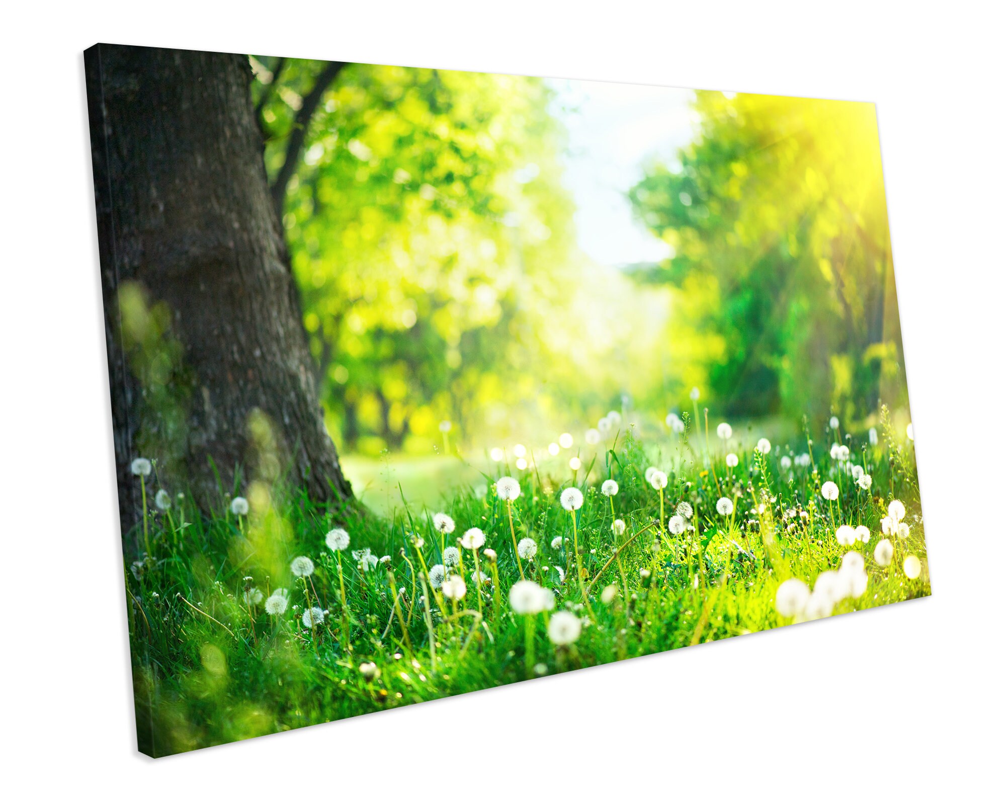 Spring Meadow Landscape Green CANVAS ART PRINT Box Framed | Etsy