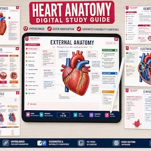May include: A digital heart anatomy study guide displayed on a tablet screen, featuring detailed medical illustrations of the heart, labeled diagrams, and text sections. The guide includes pages on coronary arteries, heart valves, and clinical conditions.
