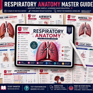 Studiegids voor de anatomie van de luchtwegen | Aantekeningen over de anatomie van de longen | Spiekbriefje voor verpleegkundigen en paramedici | PDF met hyperlinks naar Goodnotes