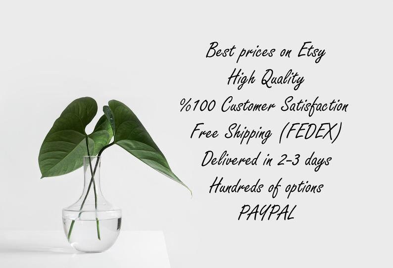 May include: A vase with green leaves in it. The text on the white background reads: "Best prices on Etsy, High Quality, %100 Customer Satisfaction, Free Shipping (FEDEX), Delivered in 2-3 days, Hundreds of options, PAYPAL."