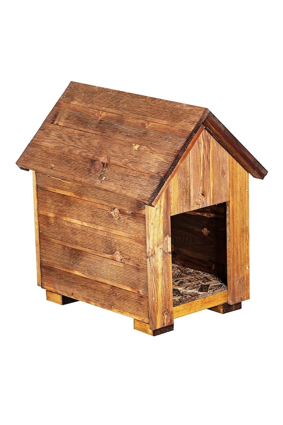 Plastic Dog Houses vs Wooden Dog Houses: Which is Better?