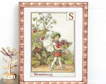S for The Strawberry Fairy, Unframed Alphabet Flower Fairies, Ragged Robin On Reverse, Vintage Print Flower Fairy, Cicely Mary Barker, Page