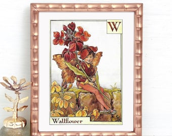 W For The Wallflower Fairy, Unframed Alphabet Flower Fairies, Yellow Deadnettle On Reverse, Vintage Print Flower Fairy, Cicely Mary Barker