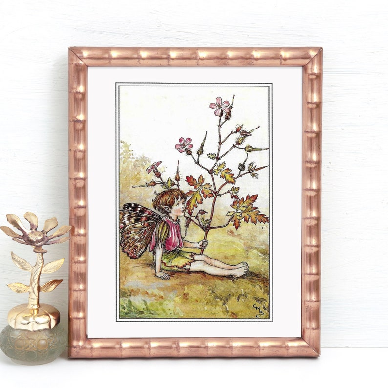 Double Sided Print The Herb Robert Fairy The Forget Me Not image 1