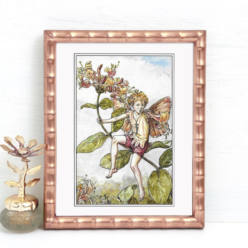 Double Sided Print The Honeysuckle Fairy The Bird's Foot image 1
