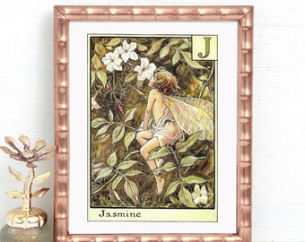 J for The Jasmine Fairy, Unframed Alphabet Flower Fairies, Kingcup On Reverse, Vintage Print Flower Fairy, Cicely Mary Barker, Book Page