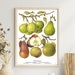 see more listings in the Food Prints (Single) section