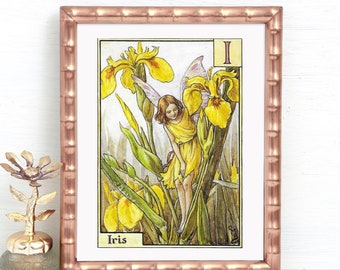 I for The Iris Fairy, Unframed Alphabet Flower Fairies, Herb Twopence On Reverse, Vintage Print Flower Fairy, Cicely Mary Barker, Book Page