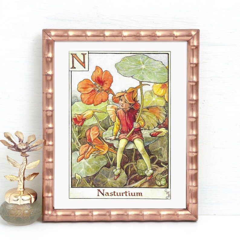 Double Sided Print N for The Nasturtium Fairy O for The image 1