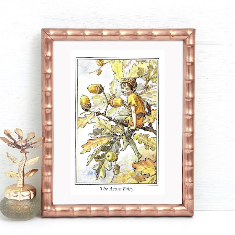Double Sided Print The Acorn Fairy The Dogwood Fairy image 1