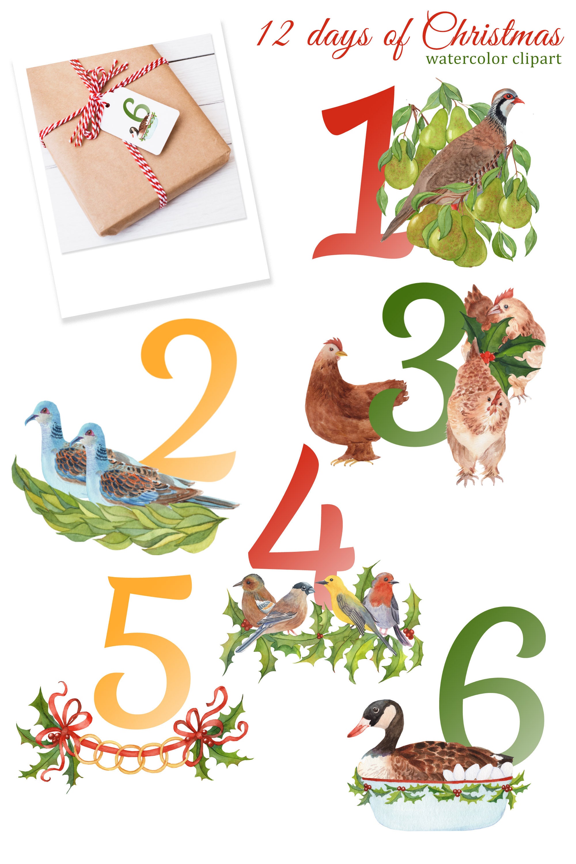 The Twelve Days of Christmas Watercolor Clipart, 12 Days, Partridge in ...