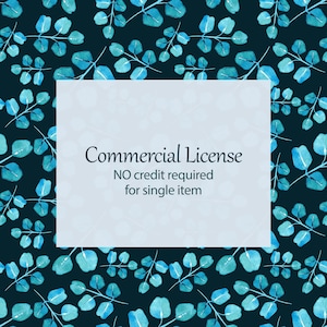 Commercial License for small business for single item - NO credit required