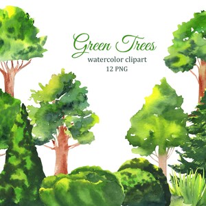 Clipart di alberi verdi dell'acquerello, sublimazione del giardino e del parco png