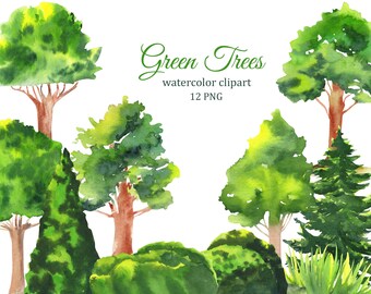 Watercolor greenery trees clipart, garden and park sublimation png