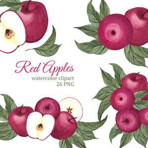 Rote Äpfel Aquarell Clipart. Herbst, Sommer PNG, Herbstkranz, Ernte Clipart, Obst Aufkleber