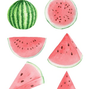 May include: Watercolor clipart of watermelons in various cuts: a whole melon, a slice, a half-circle, and triangular pieces. One piece is heart-shaped, and another is a watermelon popsicle. The text "Watermelon watercolor clipart" is at the top.