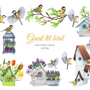 Mésange charbonnière oiseau aquarelle clipart, clipart de jardin de printemps, nichoir png, clipart de Pâques