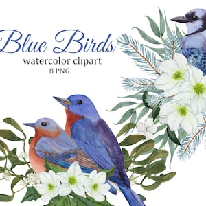 Pássaros Azuis E Buquês De Inverno, Clipart Aquarela De Natal PNG