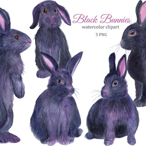 Black bunny watercolor clipart, rabbit png, cute Easter bunny clip art, farm animals, symbol of 2023