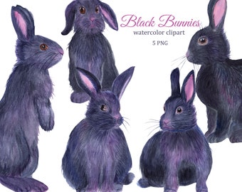 Black bunny watercolor clipart, rabbit png, cute Easter bunny clip art, farm animals, symbol of 2023