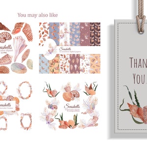 May include: A digital download of watercolor seashell illustrations. The set includes 22 individual seashells, 12 seamless digital papers, 14 watercolor frames, and 10 composed bouquets. The text "Seashells" appears in the image.