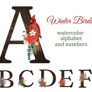 Alphabet clipart with watercolor winter birds, numbers clipart, monogram