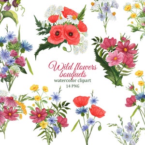 Clipart aquarelle de bouquets de fleurs sauvages, fleurs de prairie png, faire-part de mariage, mariée, été à base de plantes, coquelicot, bleuet