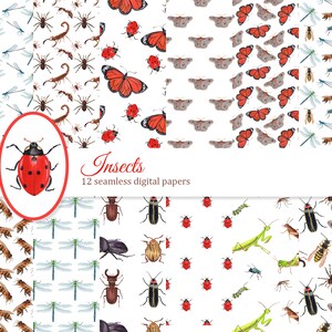 Modello senza cuciture di insetti, pacchetto di carta digitale minibeast, sfondo estivo, insetto, farfalla, libellula, scarabeo