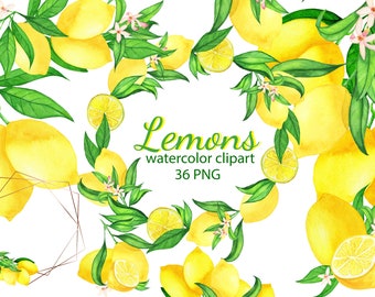 Watercolor Lemon Clipart, Lemon Frame, Lemon Wreath, Summer Clipart