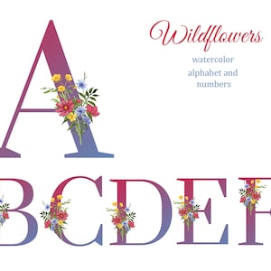 Alphabet clipart with watercolor wildflowers, numbers clipart, monogram, meadow flowers, summer wedding