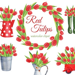 May include: Watercolor clipart featuring red tulips in various arrangements.  Includes a wreath of red tulips, a bouquet of red tulips in a watering can, a bouquet of red tulips in a metal bucket, a bouquet of red tulips in a vintage metal pitcher, and a bouquet of red tulips in the back of a red pickup truck.  The text "Red Tulips watercolor clipart" is included in the image.