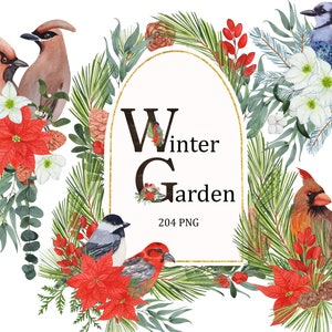 Wintertuin aquarel vogels en bloemen. Kerstframes, kransen, patronen. Winterbruiloft ontwerp