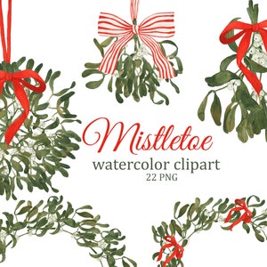 Clipart aquarela de visco, vegetação de Natal PNG, clipart de casamento de inverno, guirlanda e molduras