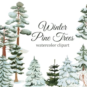 Pinos de invierno acuarela clipart, abeto PNG, ilustración del bosque, imágenes prediseñadas de la boda del bosque