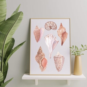 May include: A framed watercolor painting of seven seashells in various shapes and colors. The shells are painted in shades of pink, brown, and white.