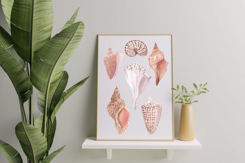 May include: A framed watercolor painting of seven seashells in various shapes and colors. The shells are painted in shades of pink, brown, and white.