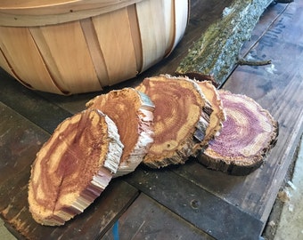 Raw Cedar Slices, Cedar Cookies