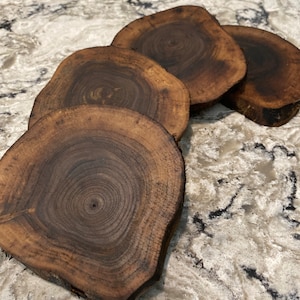 Black Walnut Wood Coasters, Rustic Wood, Wood Slices, Reclaimed Wood, Live Edge, Handmade, Upcycled Wood image 1
