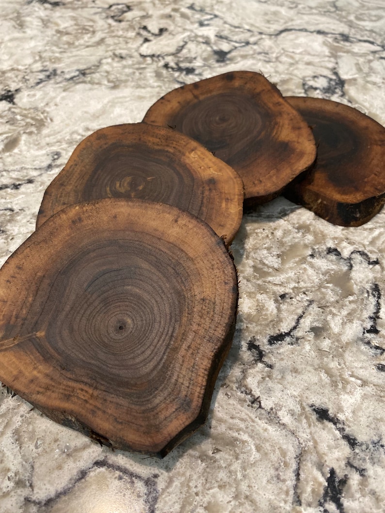 Black Walnut Wood Coasters, Rustic Wood, Wood Slices, Reclaimed Wood, Live Edge, Handmade, Upcycled Wood image 1