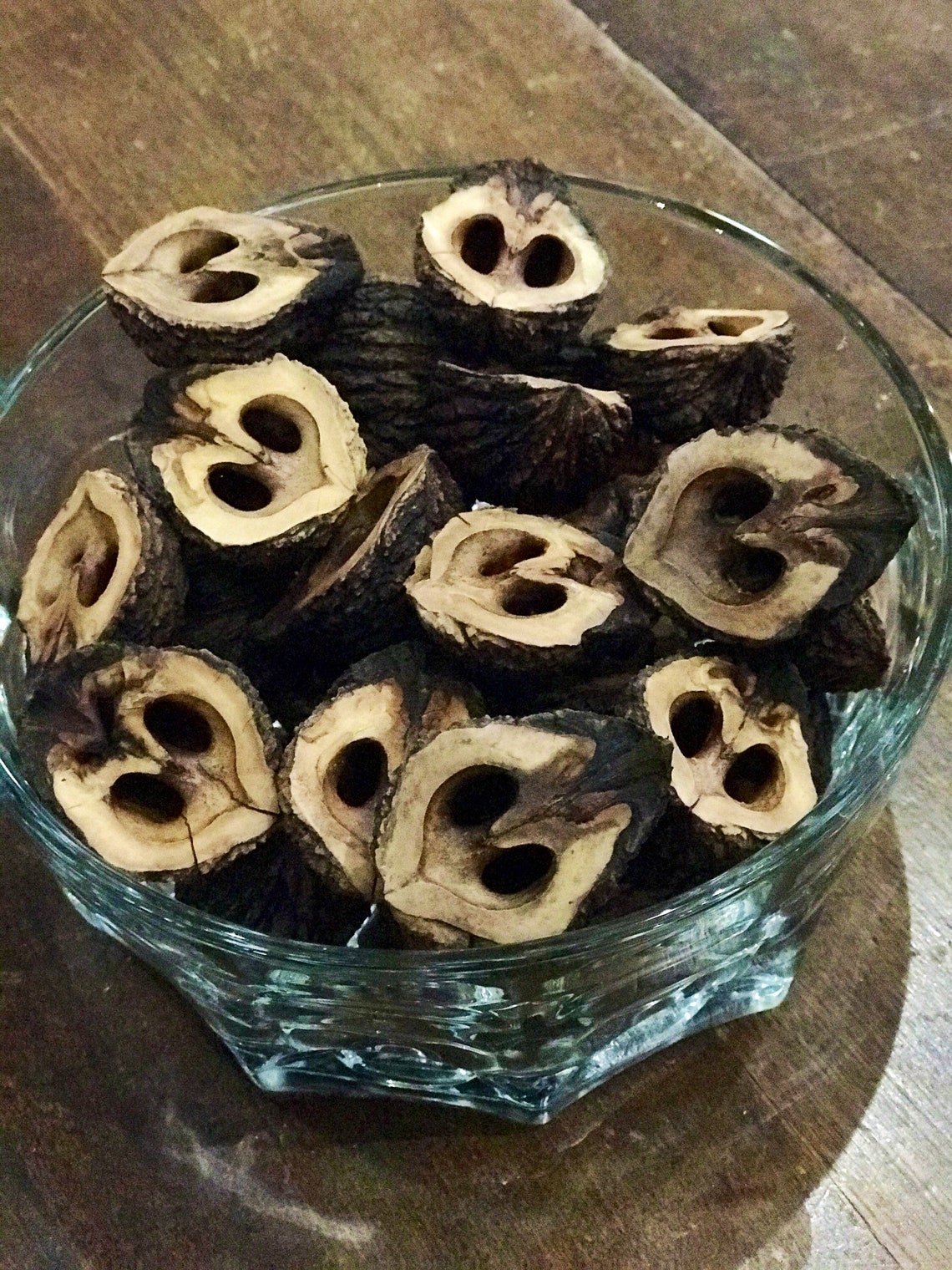 Black Walnut Shells Squirrel Crafts Etsy