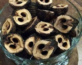 Black Walnut Shells, Squirrel Cut-Organic Crafts, Art Projects, Jewelry Making, Walnut Halves