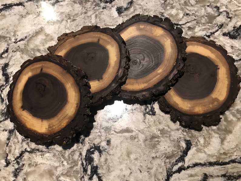 Black Walnut Wood Coasters, Rustic Wood, Wood Slices, Reclaimed Wood, Live Edge, Handmade, Upcycled Wood image 2