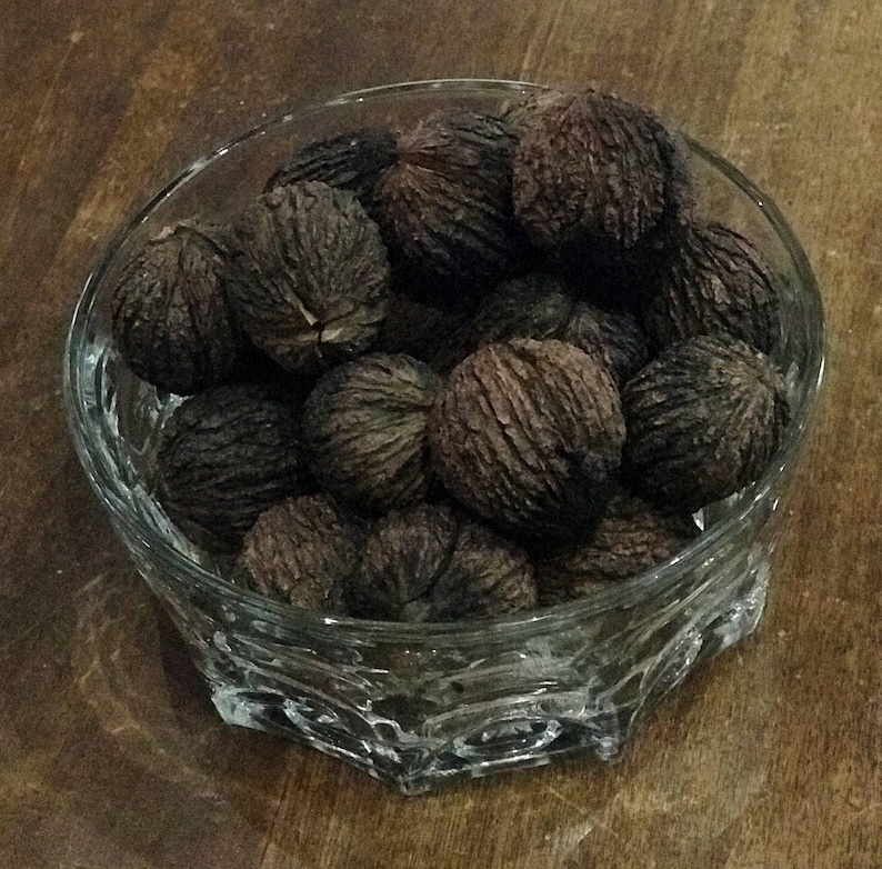 Black Walnuts in the Foods and Crafts Baking Etsy