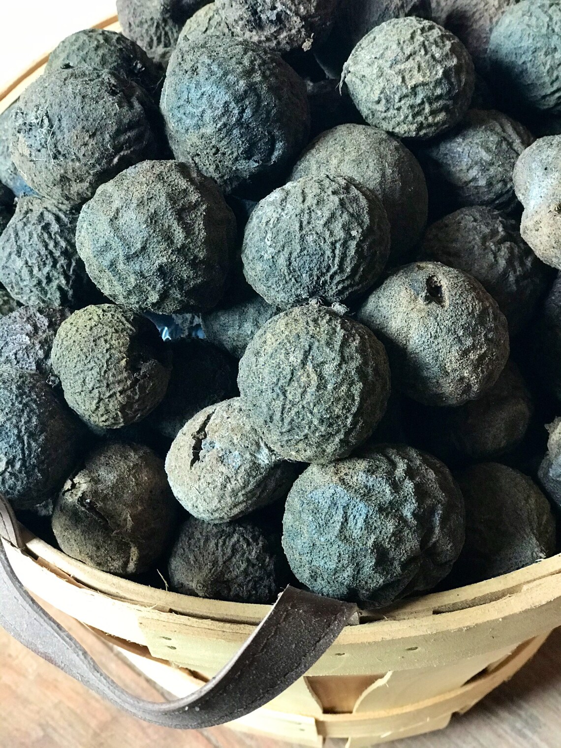 Black Walnuts In Husk Organic Crafting Black Walnut Hulls Etsy