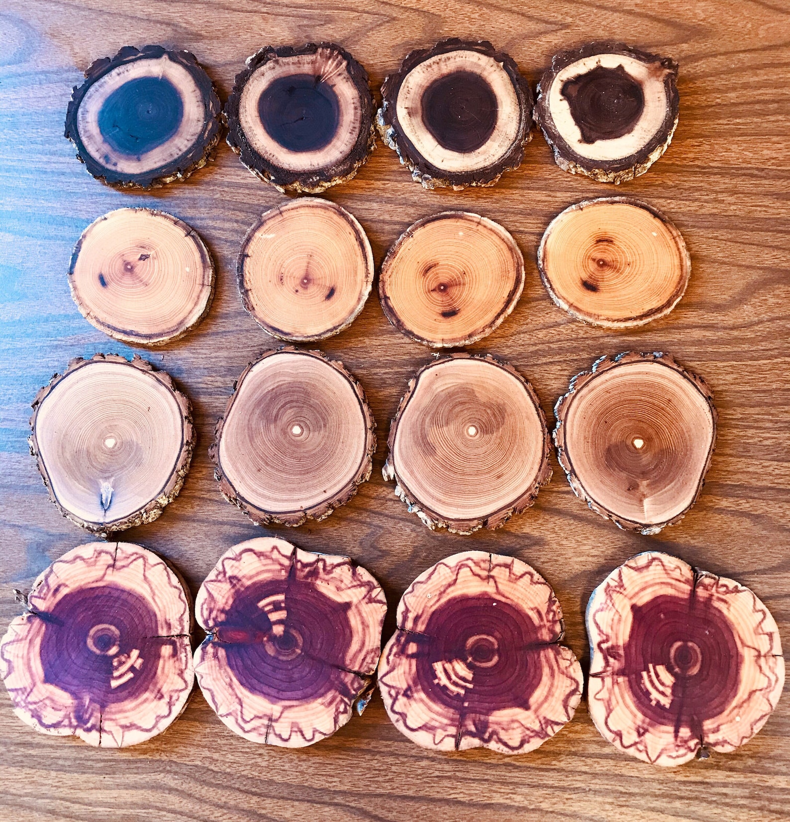 Sixteen Wood Coasters Mckelvie Farmers Coaster Pack Black Etsy