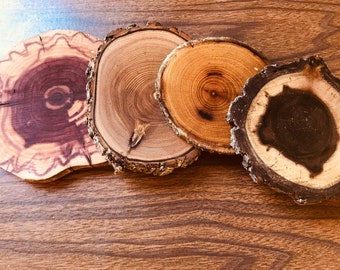 Four Mix And Match Wood Coasters, Black Walnut-Catalpa-Mulberry-Cedar, One Of Each, Rustic Home Decor